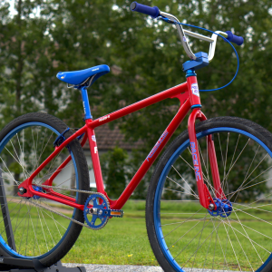 RA29 R